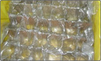 polythin-film